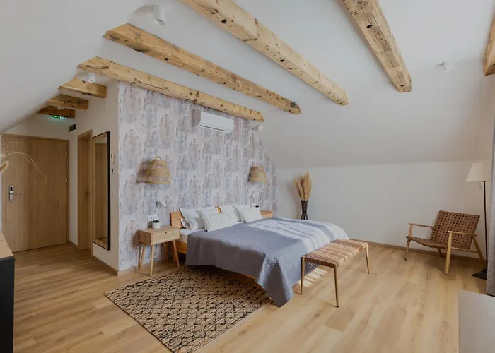 Tulipan Haz * 贾尔