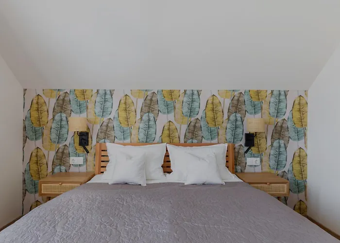 公寓 Tulipan Haz *