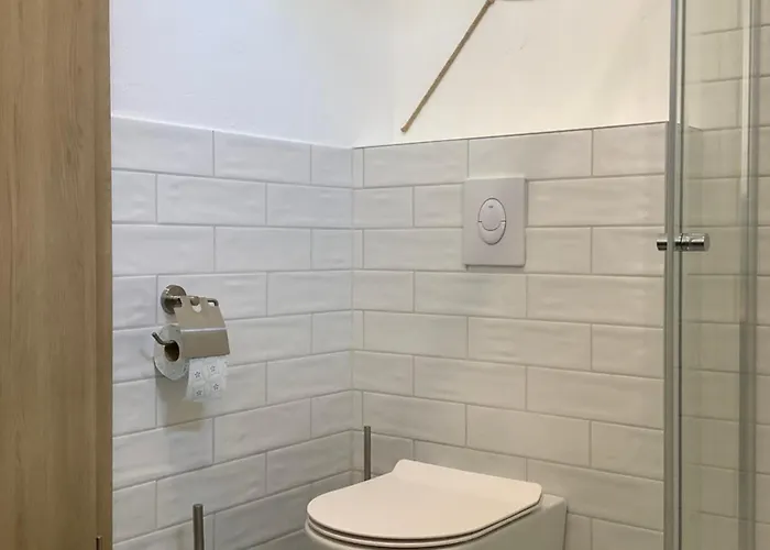 Tulipan Haz * 贾尔